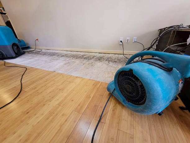 Professional Sewage Cleanup technician working in Dumont, CO